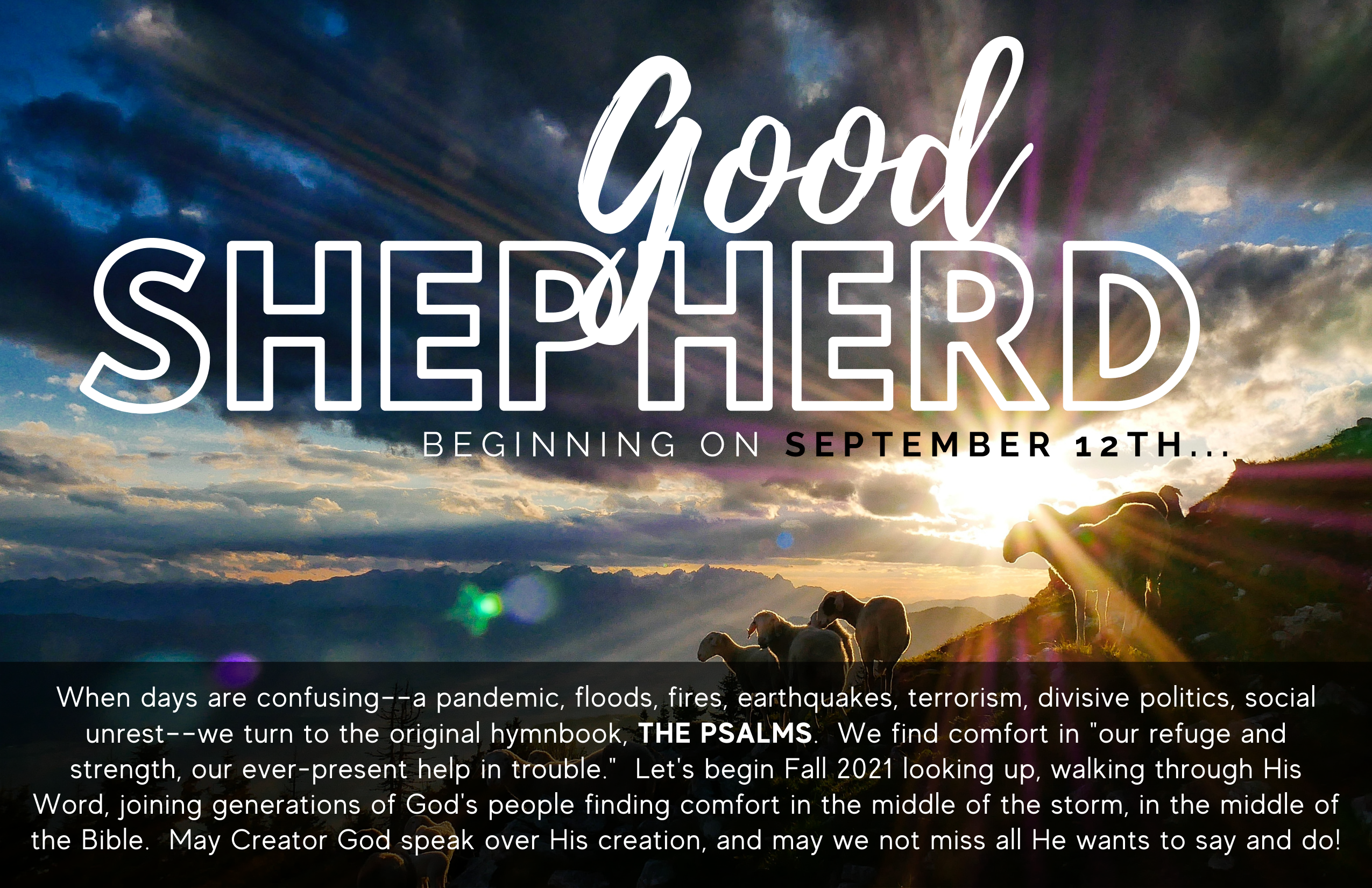 Good Shepherd-3